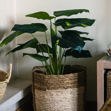 Ocean House - Santa Cruz Torres Vedras