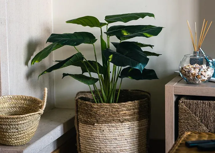 Ocean House - Santa Cruz Torres Vedras